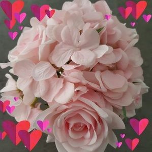 Meet your Posher, Deanna